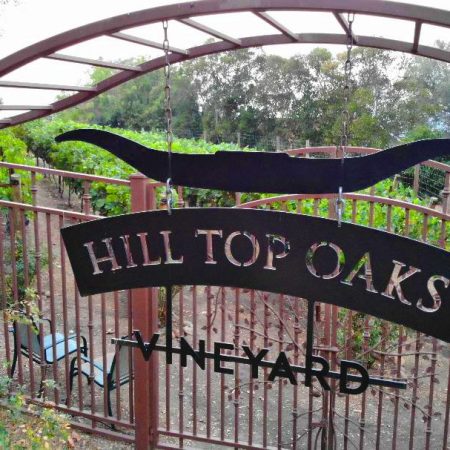 Vineyard Sign Vineyard Sign
