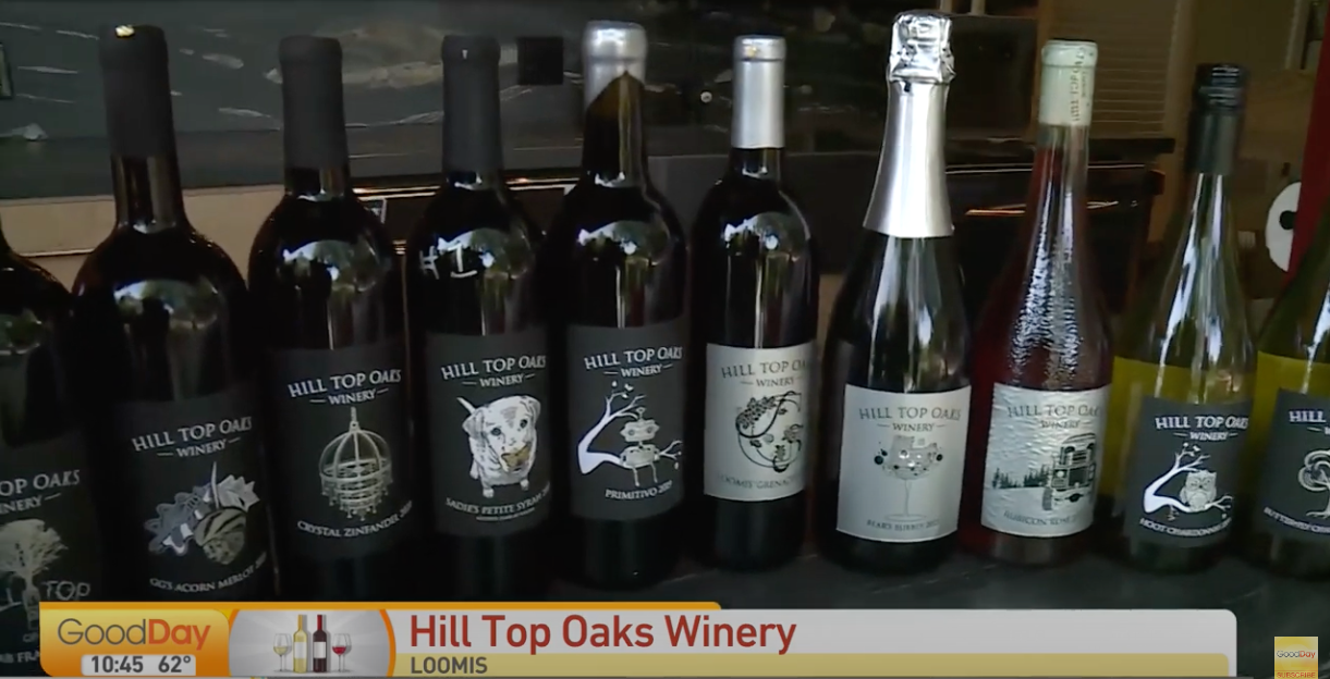 Good Day Sacramento: Hill Top Oaks Winery